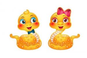 屬雞女在屬蛇心里感覺