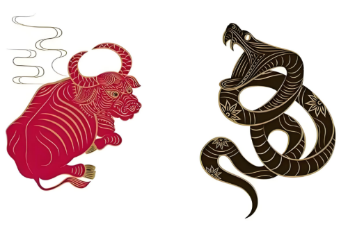 屬蛇和屬牛的合不合