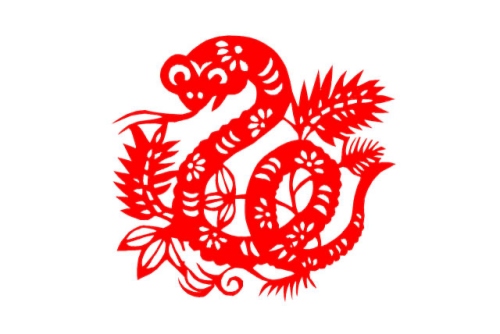 屬蛇和屬虎的合不合