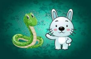 屬蛇和屬兔的合不合