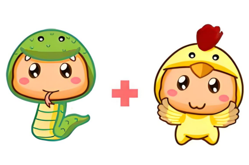 屬蛇和屬雞的合不合