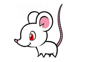 84年屬鼠41歲大劫