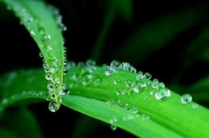 癸水命最忌三種首飾