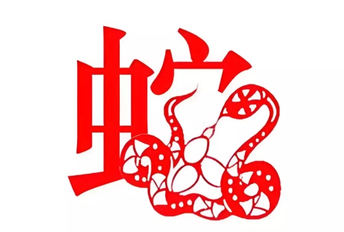 屬蛇的和什么屬相犯沖