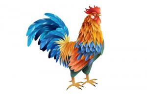 富貴雞一般生在幾月