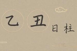 乙丑日柱三命通會精論