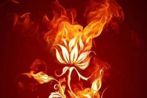 五行喜火做什么行業(yè)