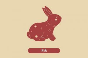 2025屬兔人躲不掉的事
