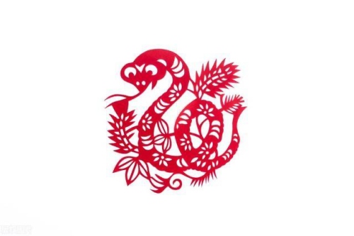 屬蛇的幾月出生最苦命