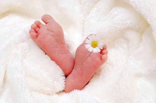 2025蛇寶寶幾月出生最好命