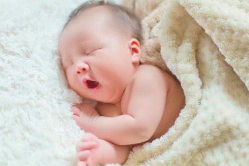 2025木蛇最吉利的名字