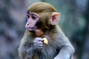 卜算子算命網(wǎng)