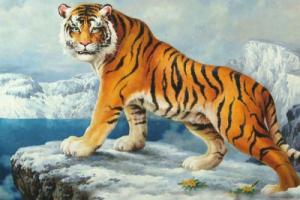 閻王爺都不敢惹的生肖