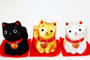 招財(cái)最厲害三個(gè)顏色