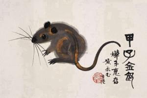 屬鼠的和什么屬相相克