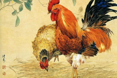屬雞的和什么屬相相克