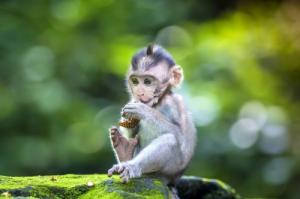 卜算子算命網(wǎng)