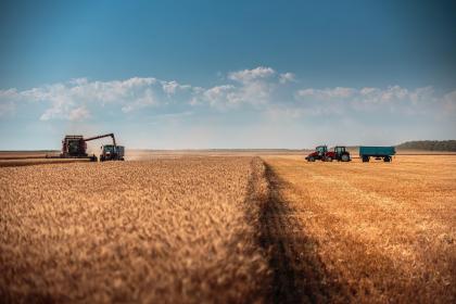 屋上土命適合什么顏色