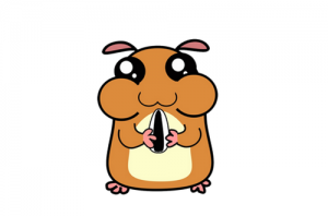 96年的鼠是什么命 五行屬什么