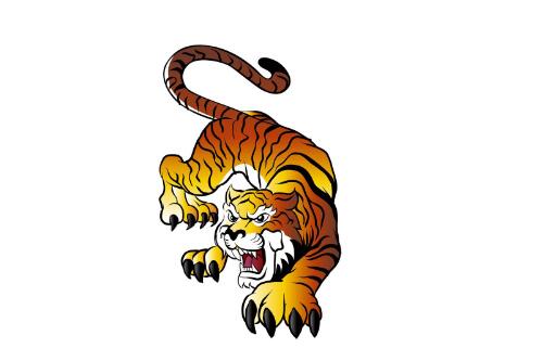 2010屬虎的是什么命五行屬什么