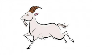 卜算子算命網(wǎng)