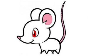 2020年的鼠是什么命 五行屬什么