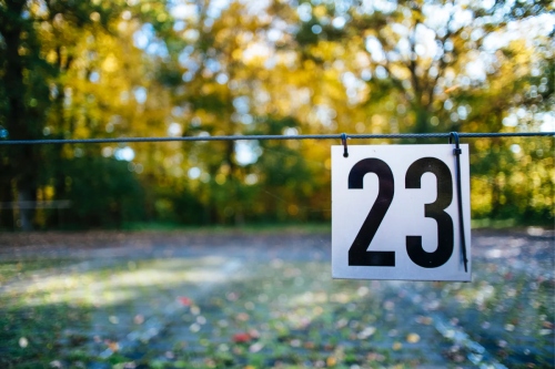 數(shù)字能量23代表什么意思