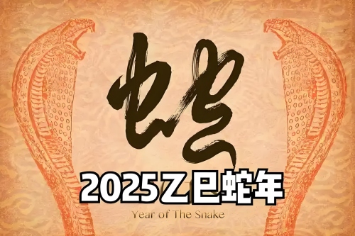 2025蛇年出生取名最佳的字
