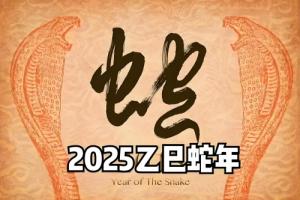2025蛇年出生取名最佳的字
