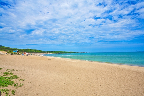 大海水命最旺哪個城市