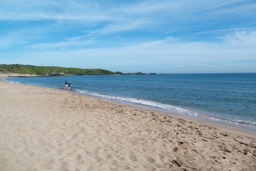 大海水命適合干哪一行