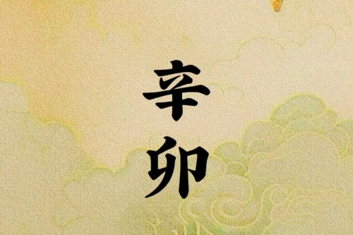 辛卯日柱是上等日柱嗎