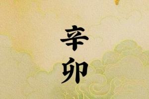 辛卯日柱是上等日柱嗎