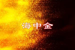 海中金命適合在北方工作嗎