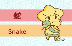 蛇年出生的人命運(yùn)如何