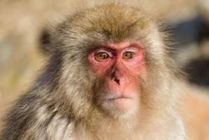 卜算子算命網(wǎng)