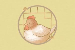 屬雞2025年躲不過(guò)的災(zāi)