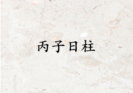 丙子日柱生于各月解析