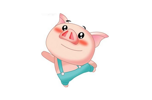 豬年出生的人命運(yùn)如何 豬年出生的人命運(yùn)如何