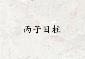 丙子日柱生于各月解析