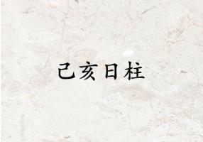 己亥日柱生于各月解析