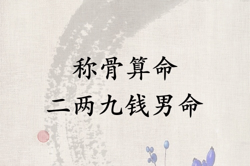 稱骨算命二兩九錢男命詳解