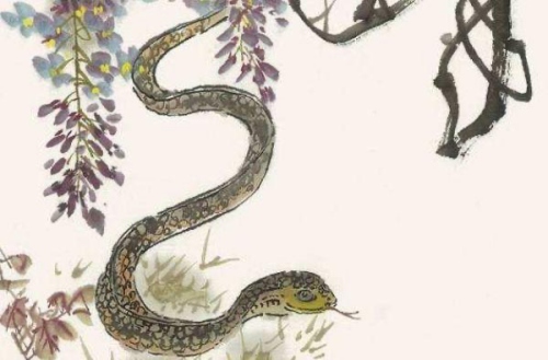 屬蛇人37歲后財(cái)運(yùn)爆棚了嗎