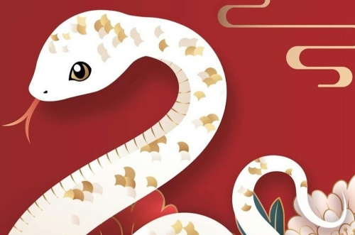 屬蛇發(fā)財?shù)哪膫€城市