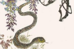 屬蛇人37歲后財(cái)運(yùn)爆棚了嗎