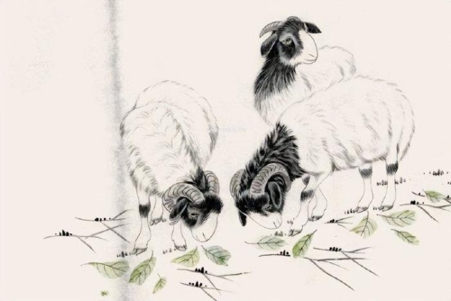 2025年誰(shuí)會(huì)幫屬羊的人