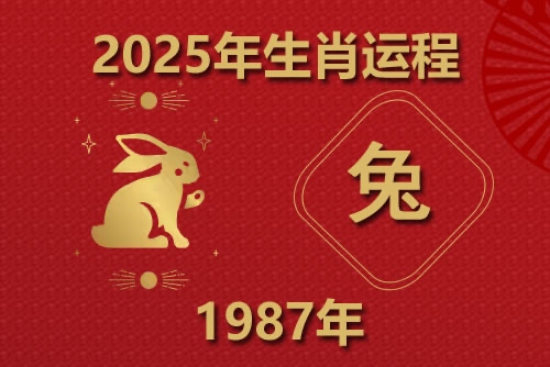 1987年屬兔2025年的運勢及運程