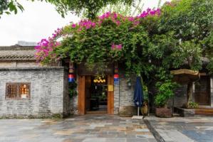 大門外種什么樹對(duì)風(fēng)水好又招財(cái)