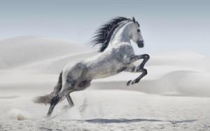 卜算子算命網(wǎng)