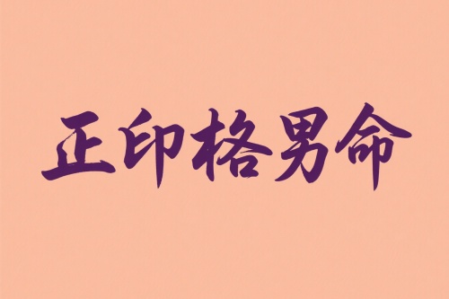 正印格男命的最佳配偶